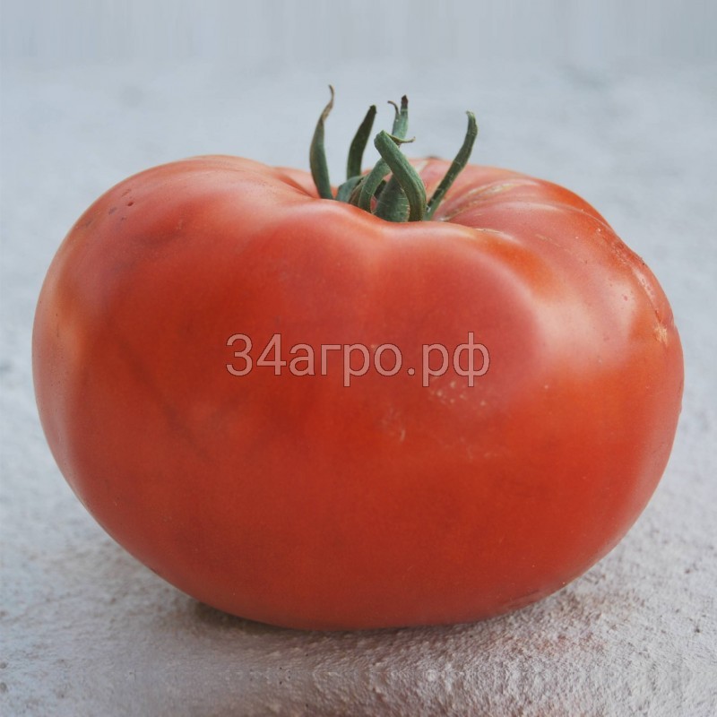 Томат Чудо Рынка 20 гр.