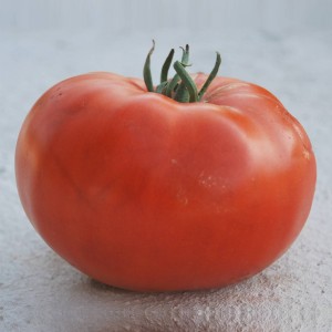 Томат Чудо Рынка 50 гр. копия №1763015070 копия №1763015104
