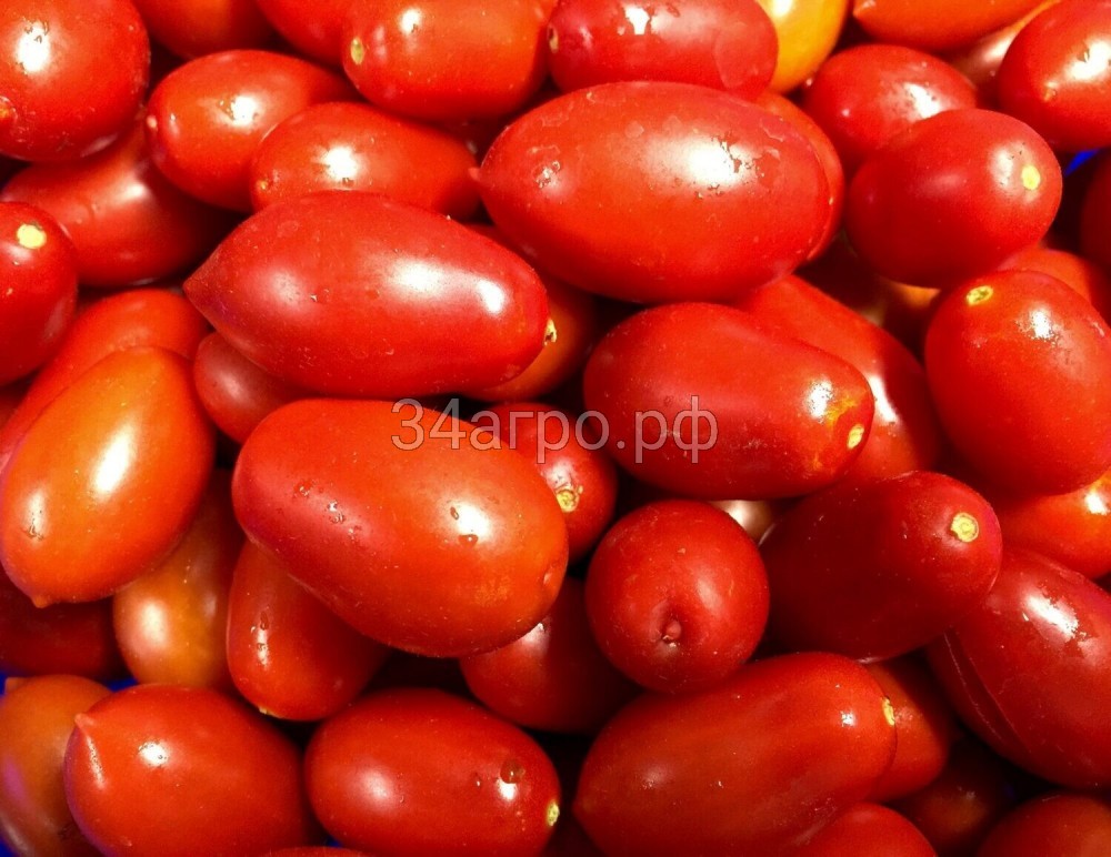 Томат Сахарная слива 100 гр.
