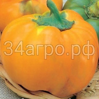 Перец Оранжевый Юбилейный 50 гр.